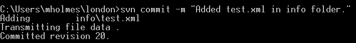 win_svn_commit_addition.png