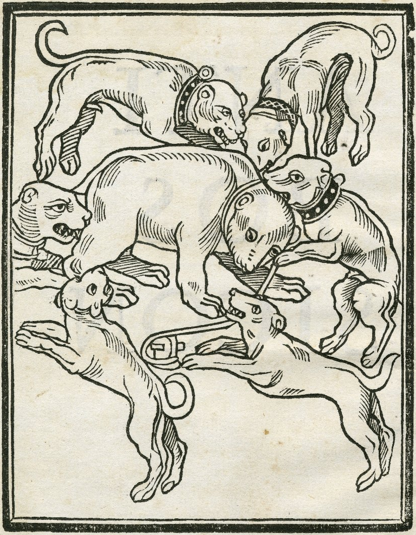 Woodcut image of a bearbaiting from William Lily’s Antibossicon (1521). Image courtesy of the Folger Digital Image Collection.